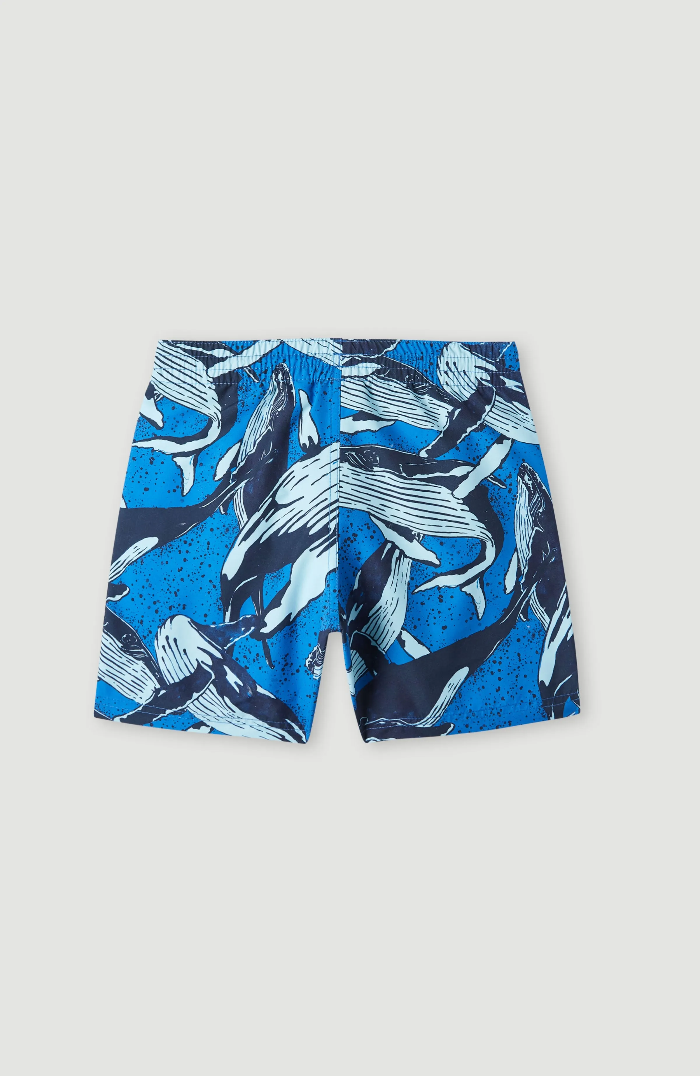 Cali Print 13'' Swim Shorts | Blue Whales