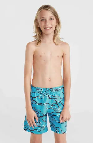 Jack O'Neill Cali Crazy 14" Swim Shorts | Light Blue Ocean View