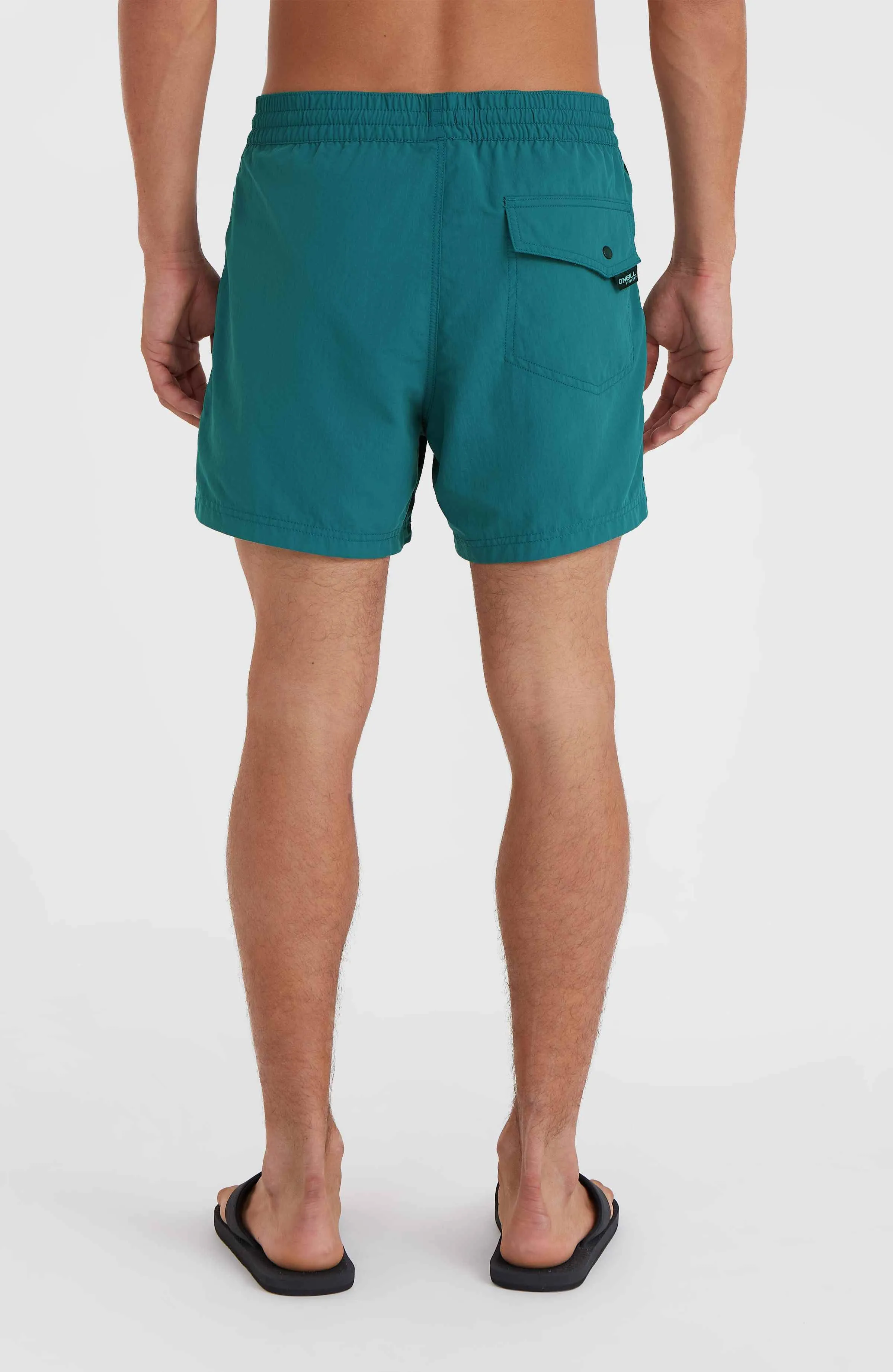 Jack O'Neill Vert 14'' Swim Shorts | Beetle Juice