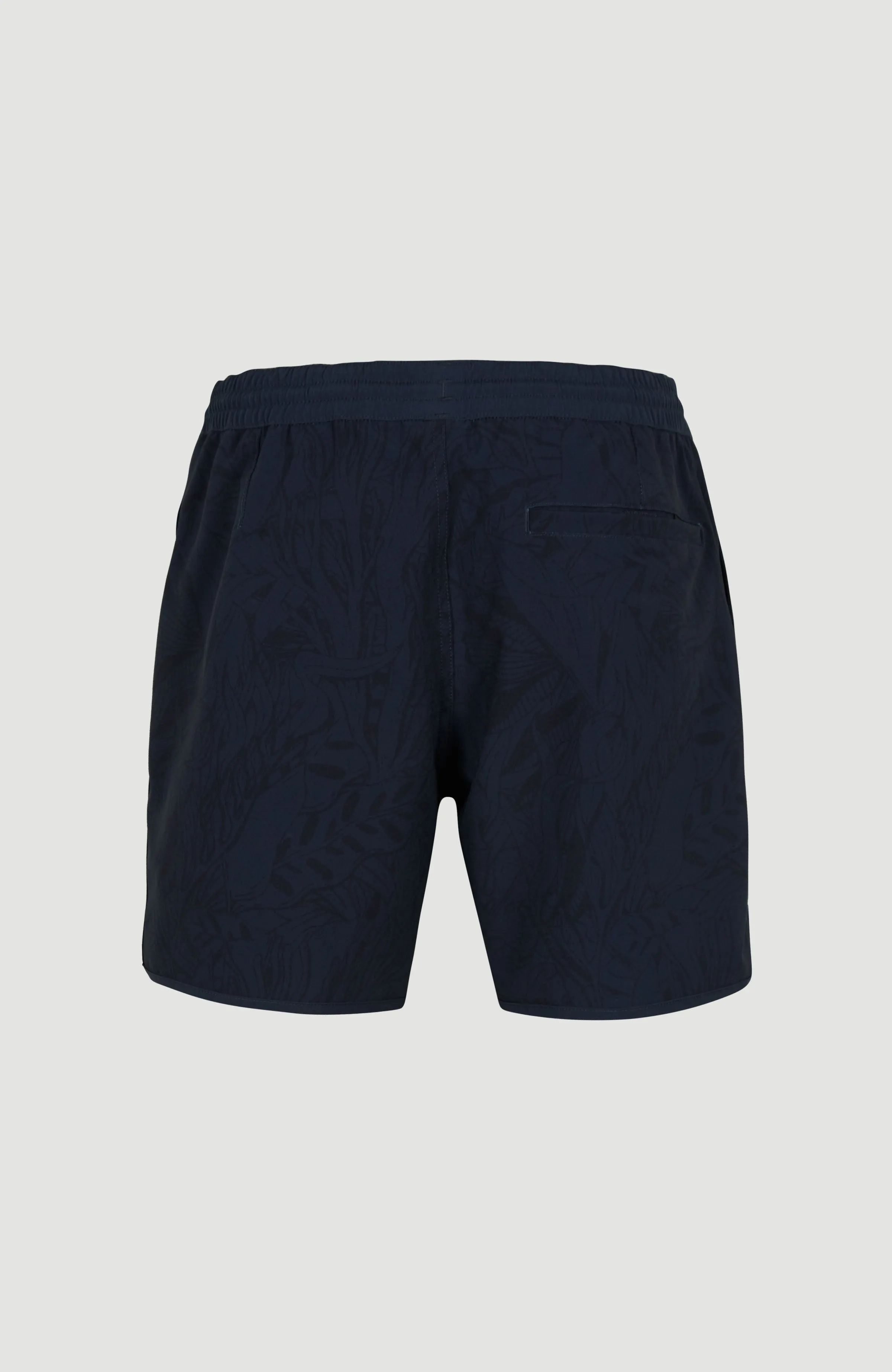 Scallop Ocean 16'' Swim Shorts | Outerspace Comic Seaweed