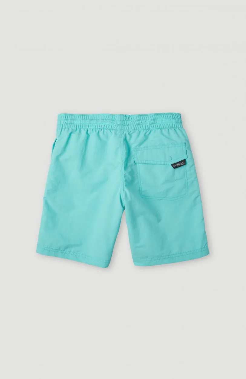 Vert 14\" Swim Shorts | Aqua Spalsh"