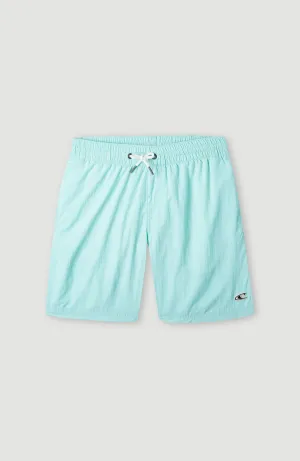 Vert 14\" Swim Shorts | Beach Glass"